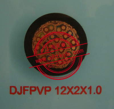 DJFPVP 12*2*1.0 計算機(jī)屏蔽耐高溫電纜