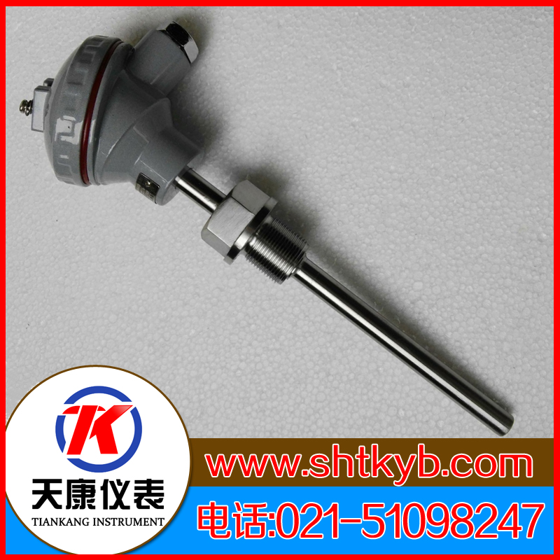 裝配式熱電偶WRM2-231